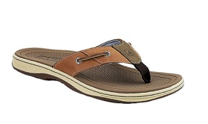 sperry baitfish thong sonora